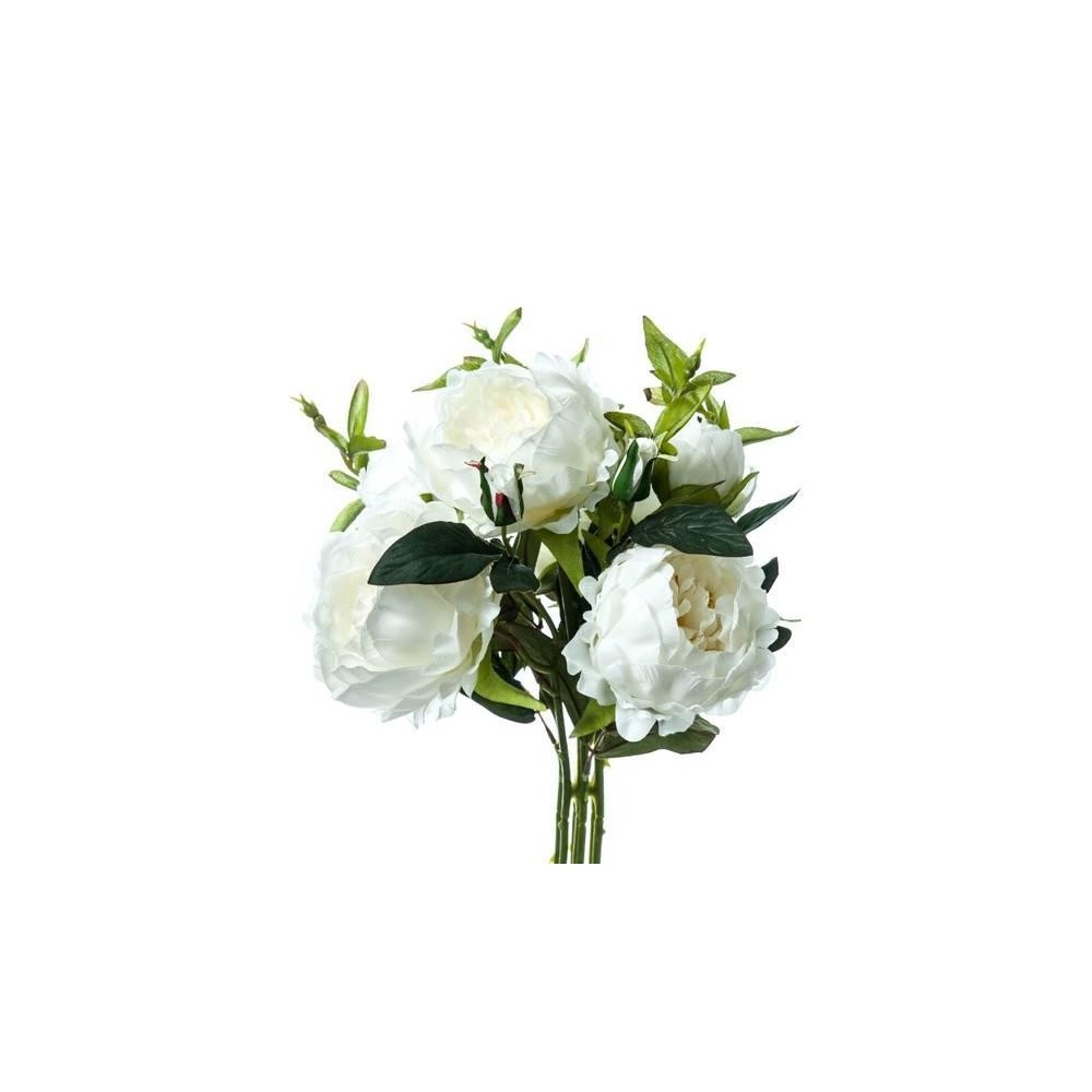 BUNCH PEONIA WHITE